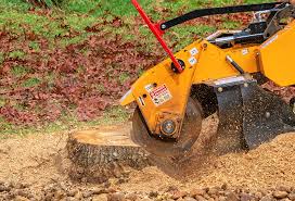 Best Commercial Tree Services  in Essex, MD
